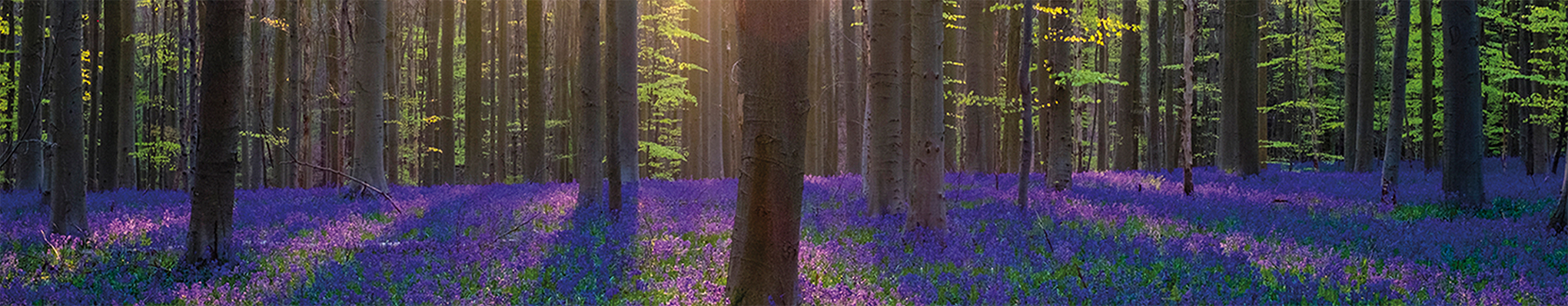 Ariston Thermo | 90th Anniversary