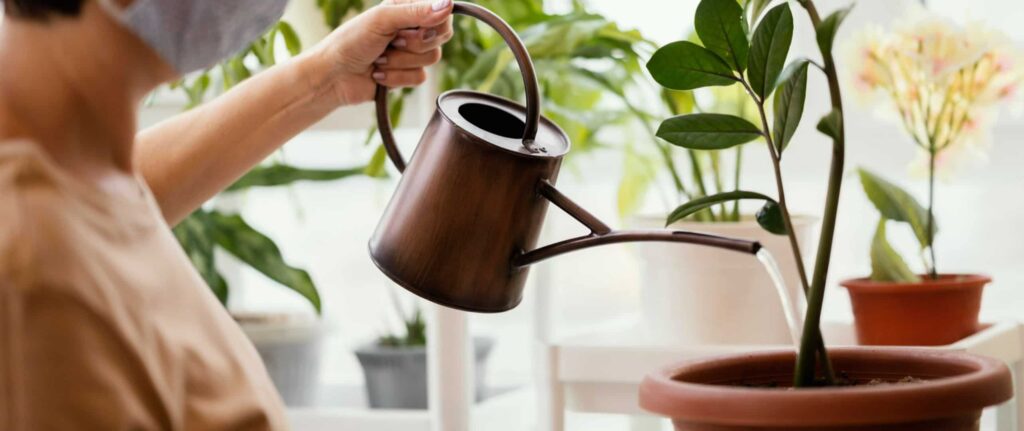 Wanita sedang menyiram tanaman hias Wanita sedang menyiram tanaman hias