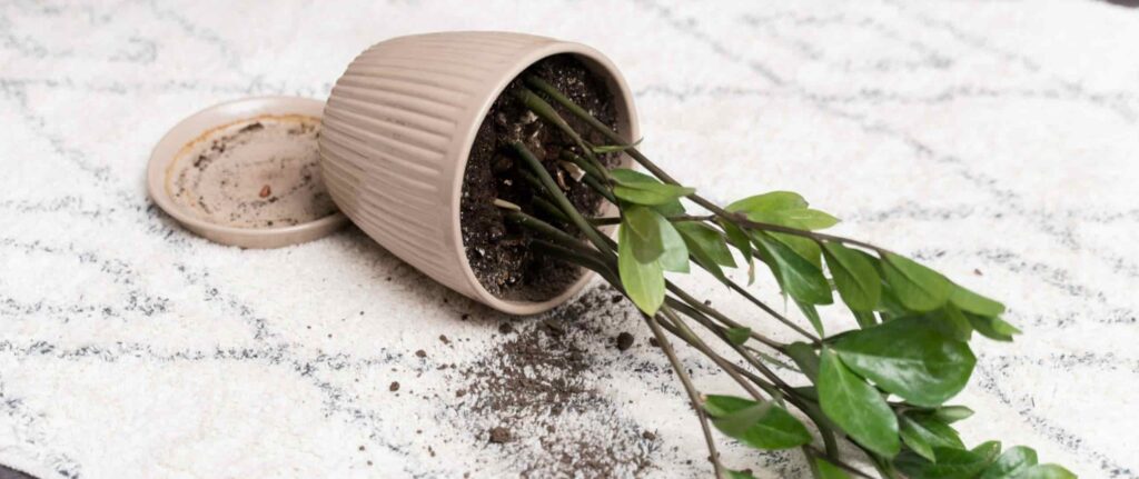 Pot tanaman terjatuh Pot tanaman terjatuh