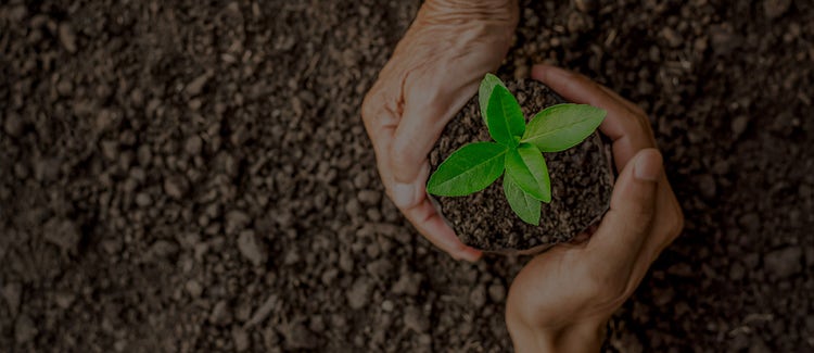 4 TIPS ENVIRONMENTALLY FRIENDLY LIFESTYLE