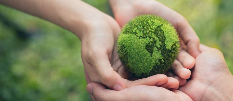 Debida Diligencia Ambiental: qué es y por qué es importante