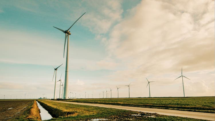 Transición energética: ¿dónde nos encontramos?