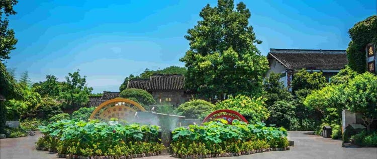 taman depan rumah