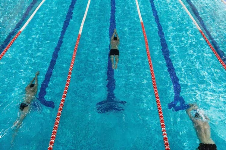 Tampak atas atlet renang di kolam profesional