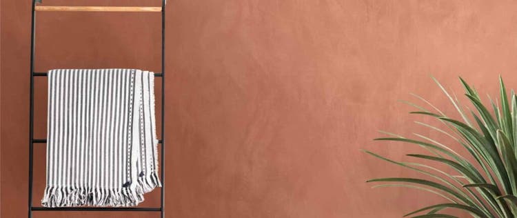 warna dinding terracotta dan daun hijau