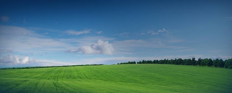 EFEKTYWOŚĆ ENERGETYCZNA Z ODNAWIALNĄ ENERGIĄ