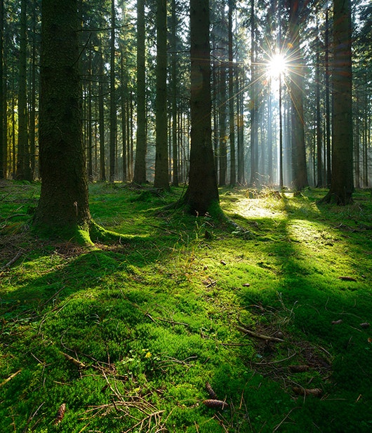 Program „Czyste Powietrze Plus” – dofinansowanie do odnawialnych źródeł energii
