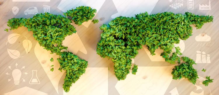O que é Sustentabilidade: Significado e Exemplos