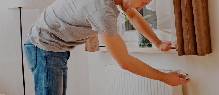 5 REGRAS PARA UM INVERNO ECO COMPATÍVEL