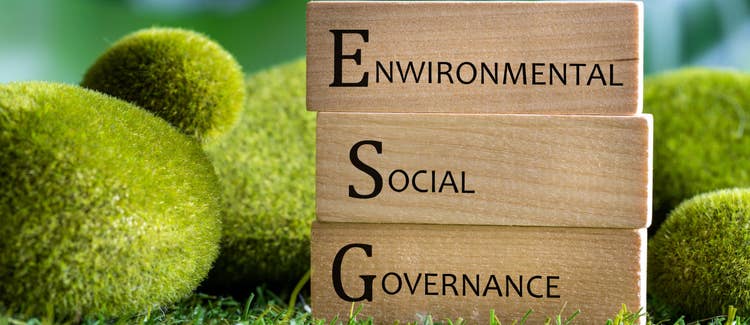 ESG: ce este și de ce contează?